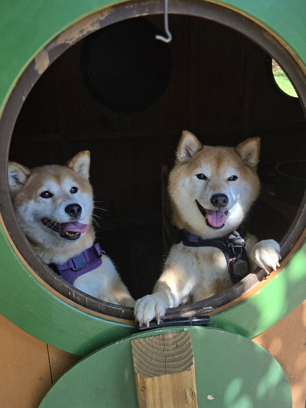 Meet Your Shopkeepers